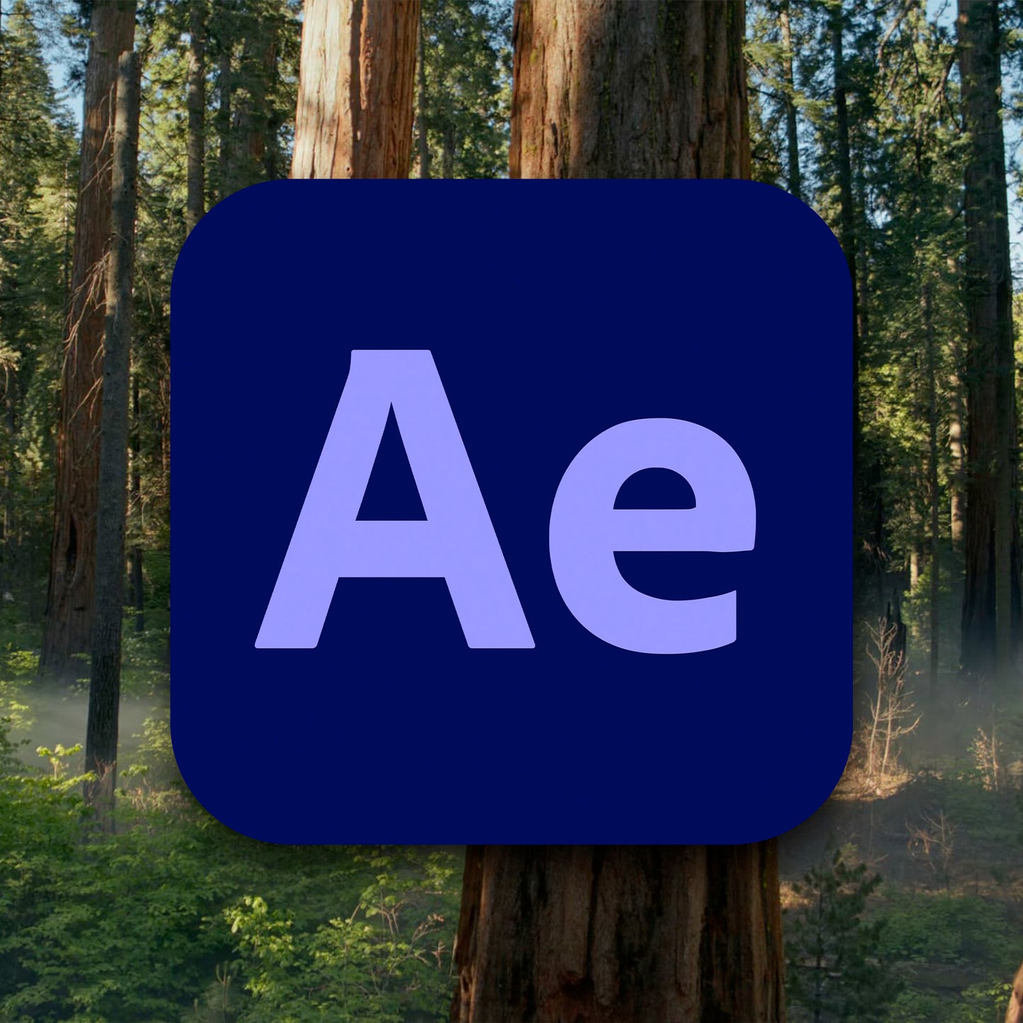 Adobe After Effects 2025 For MacOS