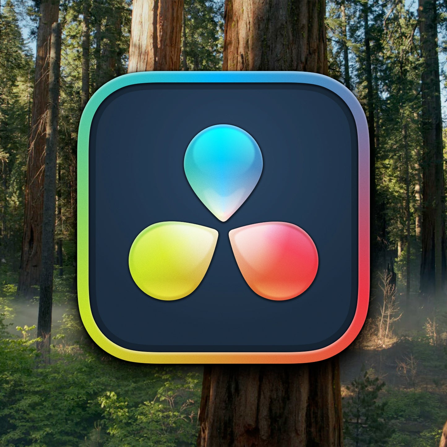 DAVINCI RESOLVE STUDIO 20.0 FOR MAC