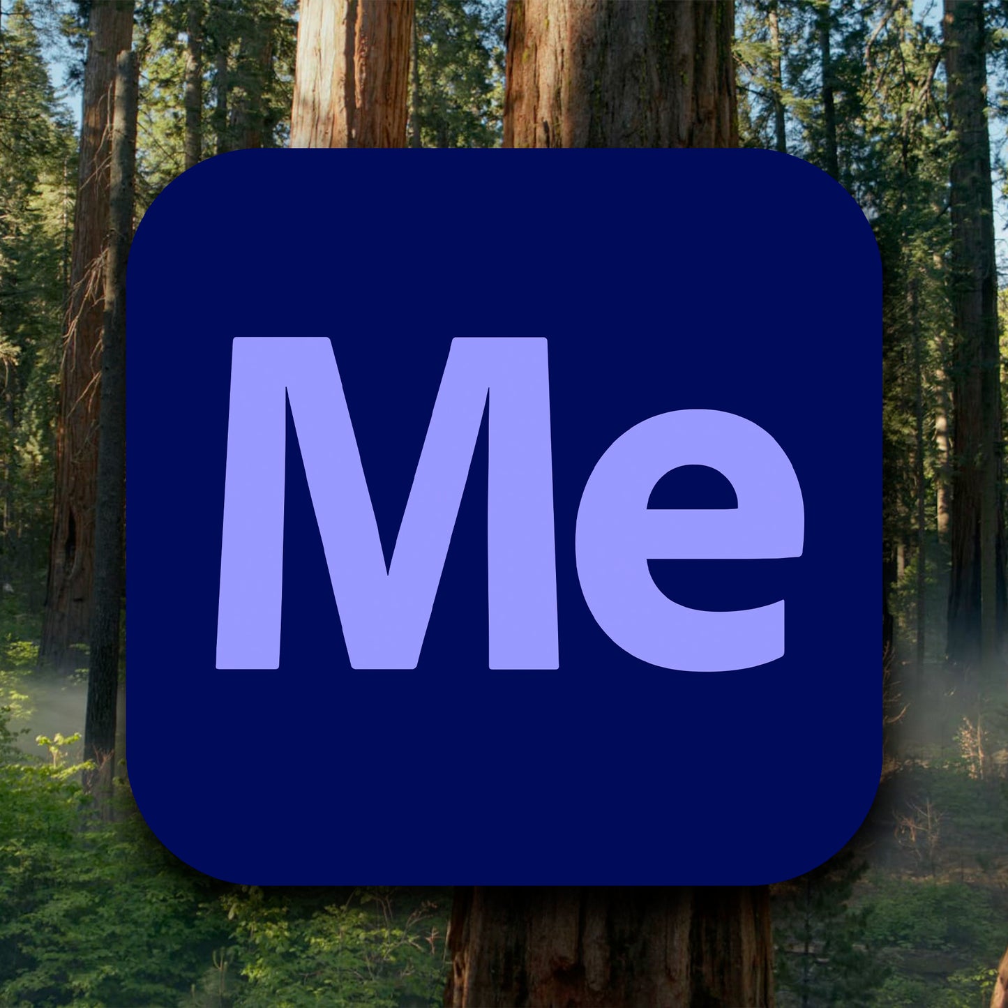 Adobe Media Encoder 2025 For MacOS